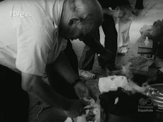 NO-DO - NOT N 1703 A