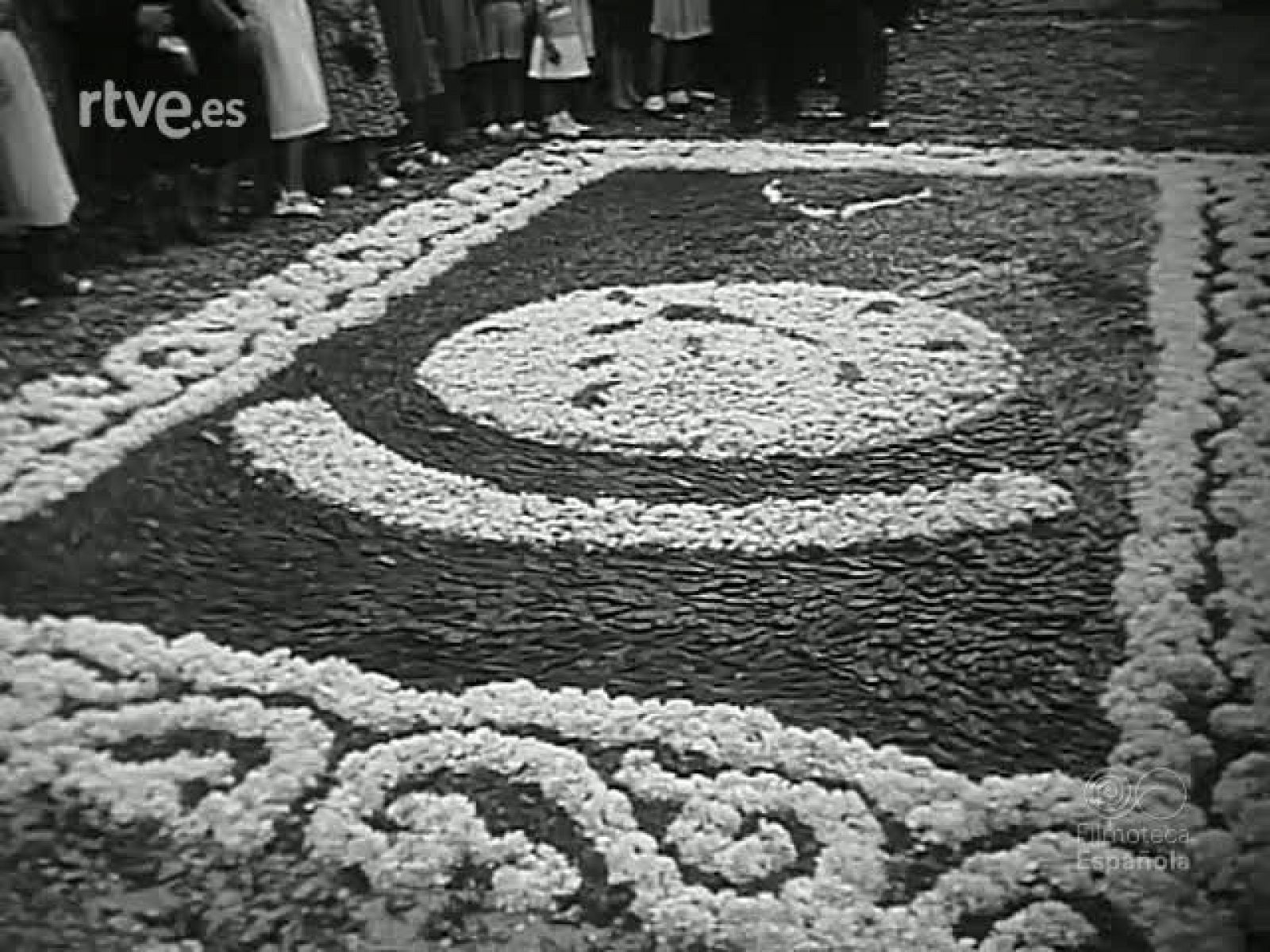 NOT N 339 B - NO-DO | Ver