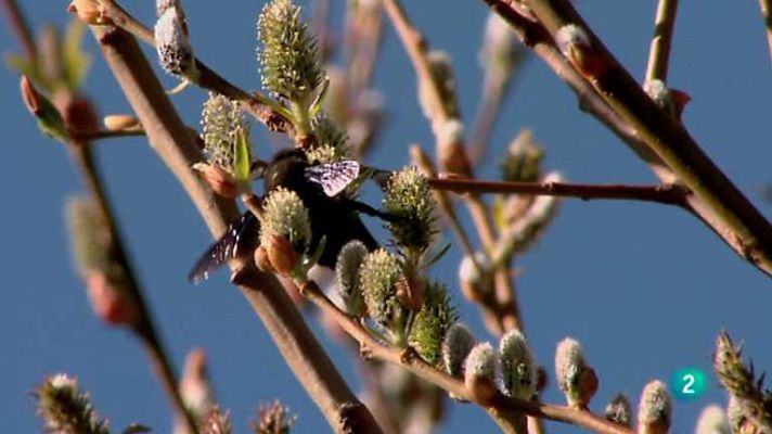 Biodiario - Biodiario - 18/07/12