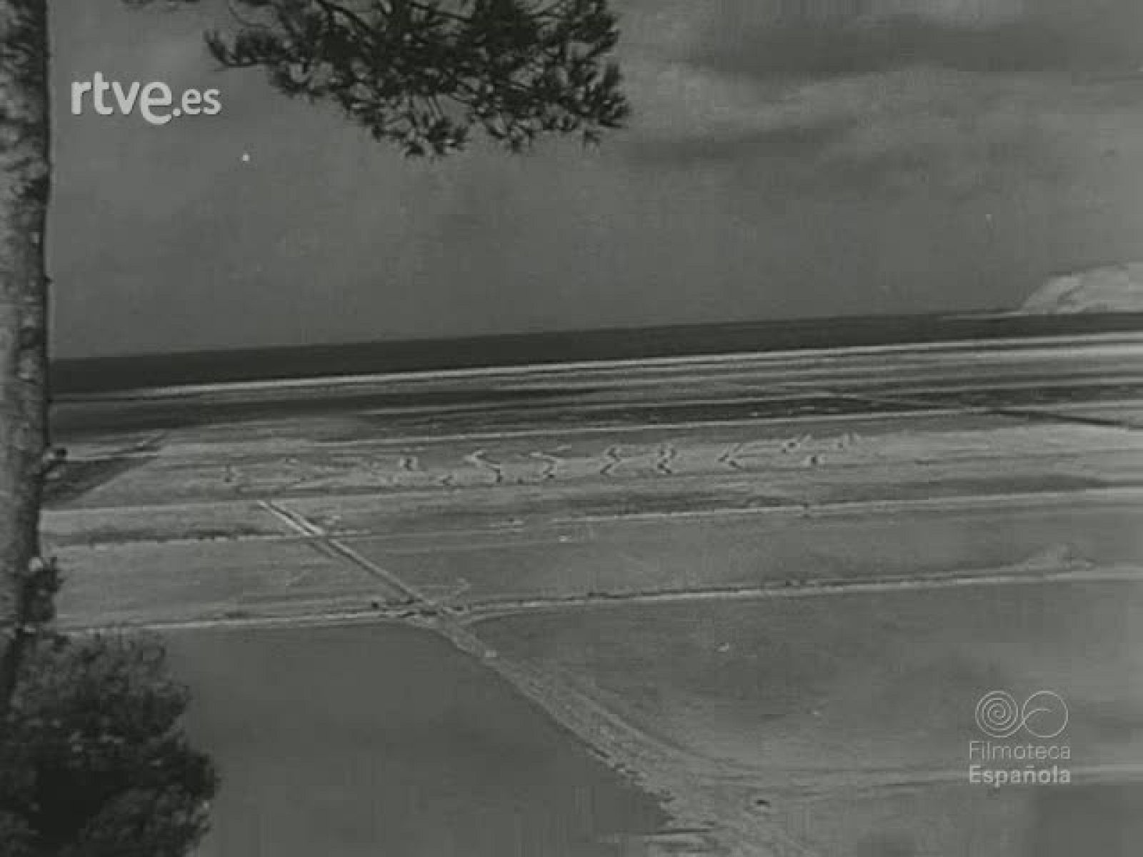 NOT N 88 A - NO-DO | Ver