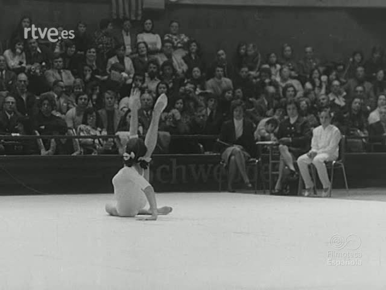 NOT N 1625 B - NO-DO | Ver