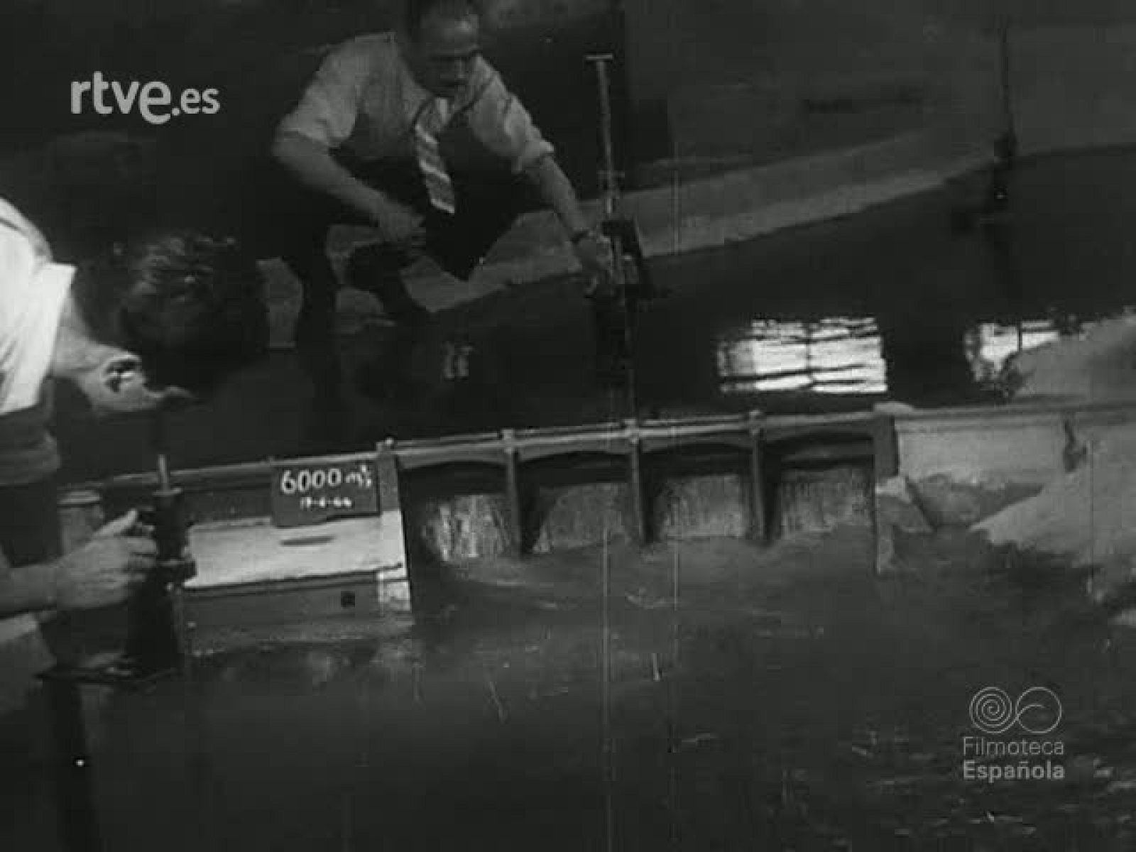 NOT N 84 A - NO-DO | Ver