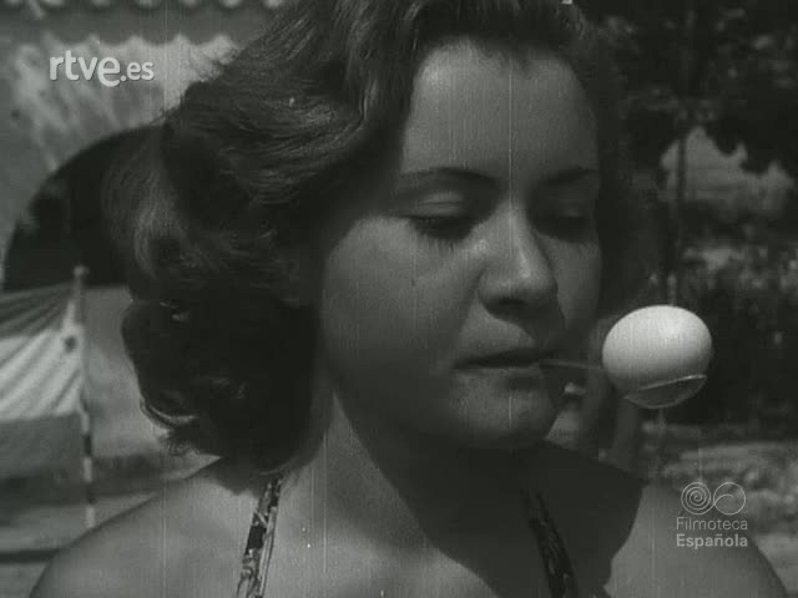 NOT N 345 A - NO-DO | Ver