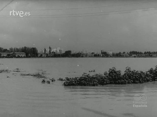 NO-DO - NOT N 1500 A