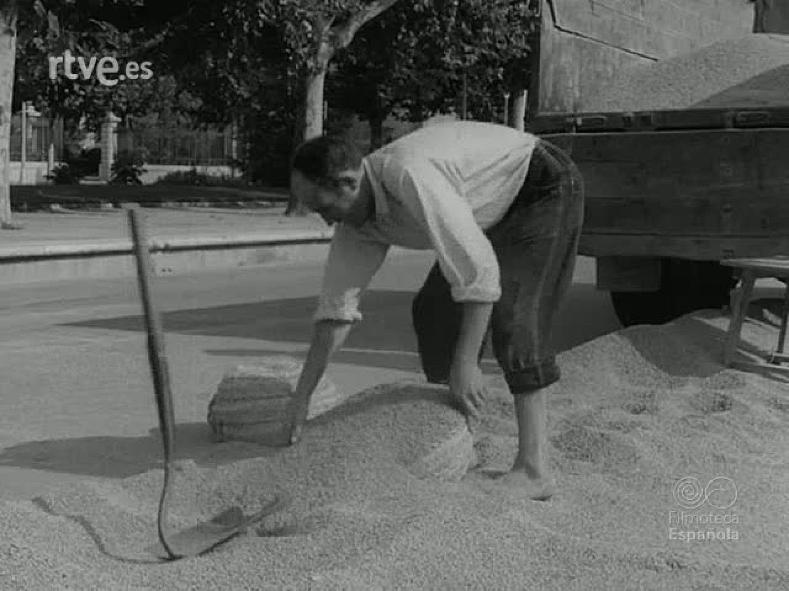 NOT N 1082 A - NO-DO | Ver