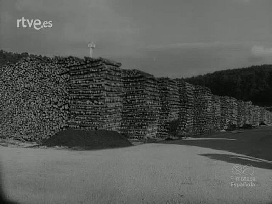 NO-DO - NOT N 1081 A