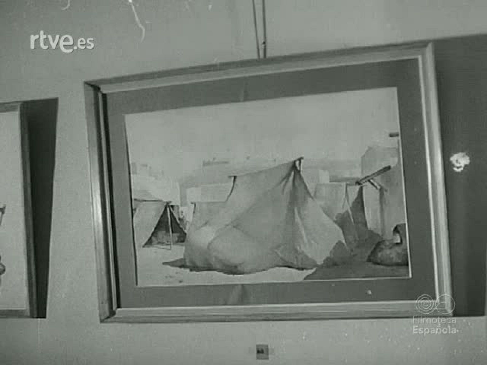 NOT N 950 B - NO-DO | Ver