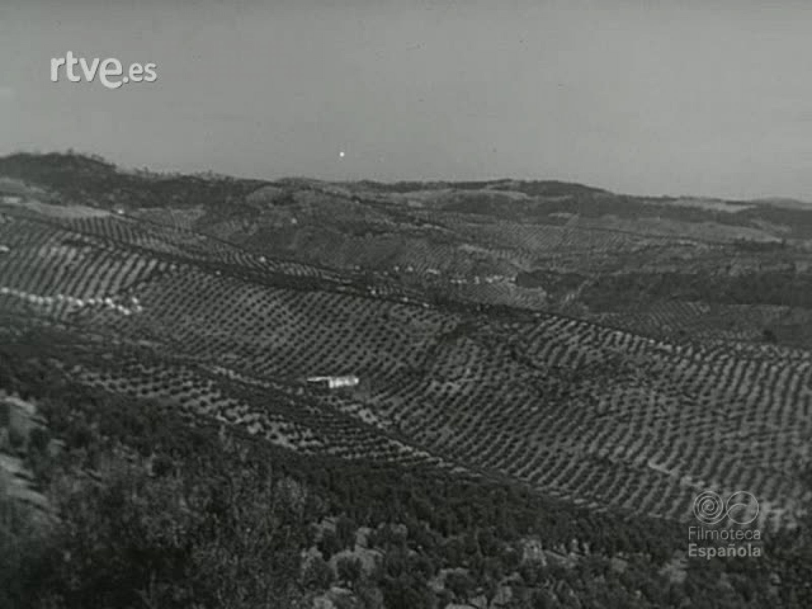 NOT N 535 A - NO-DO | Ver