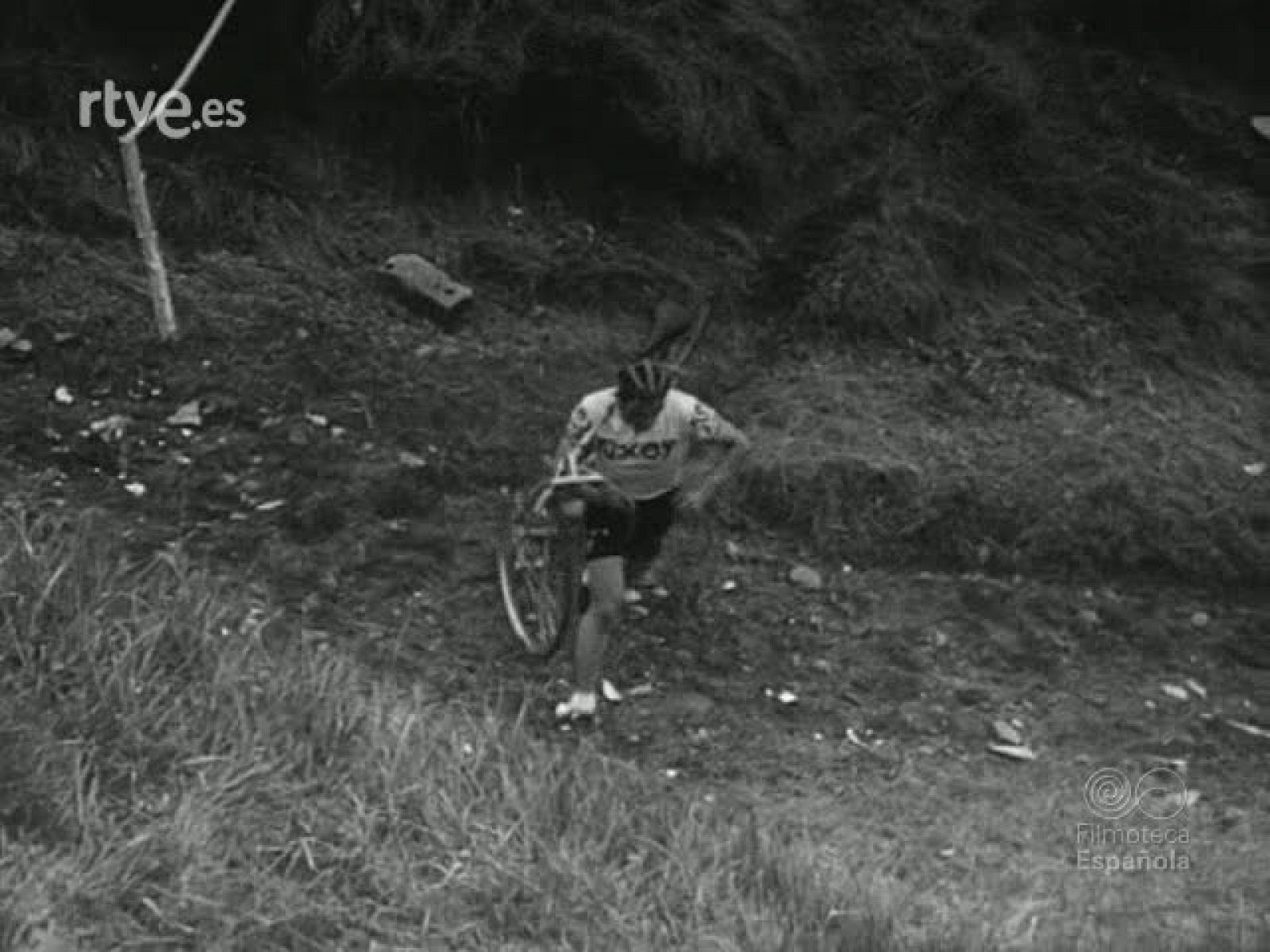 NOT N 1515 A - NO-DO | Ver