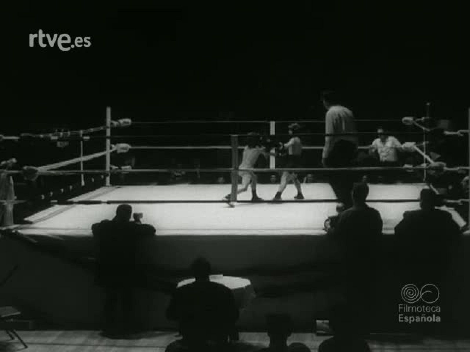 NOT N 1199 C - NO-DO | Ver