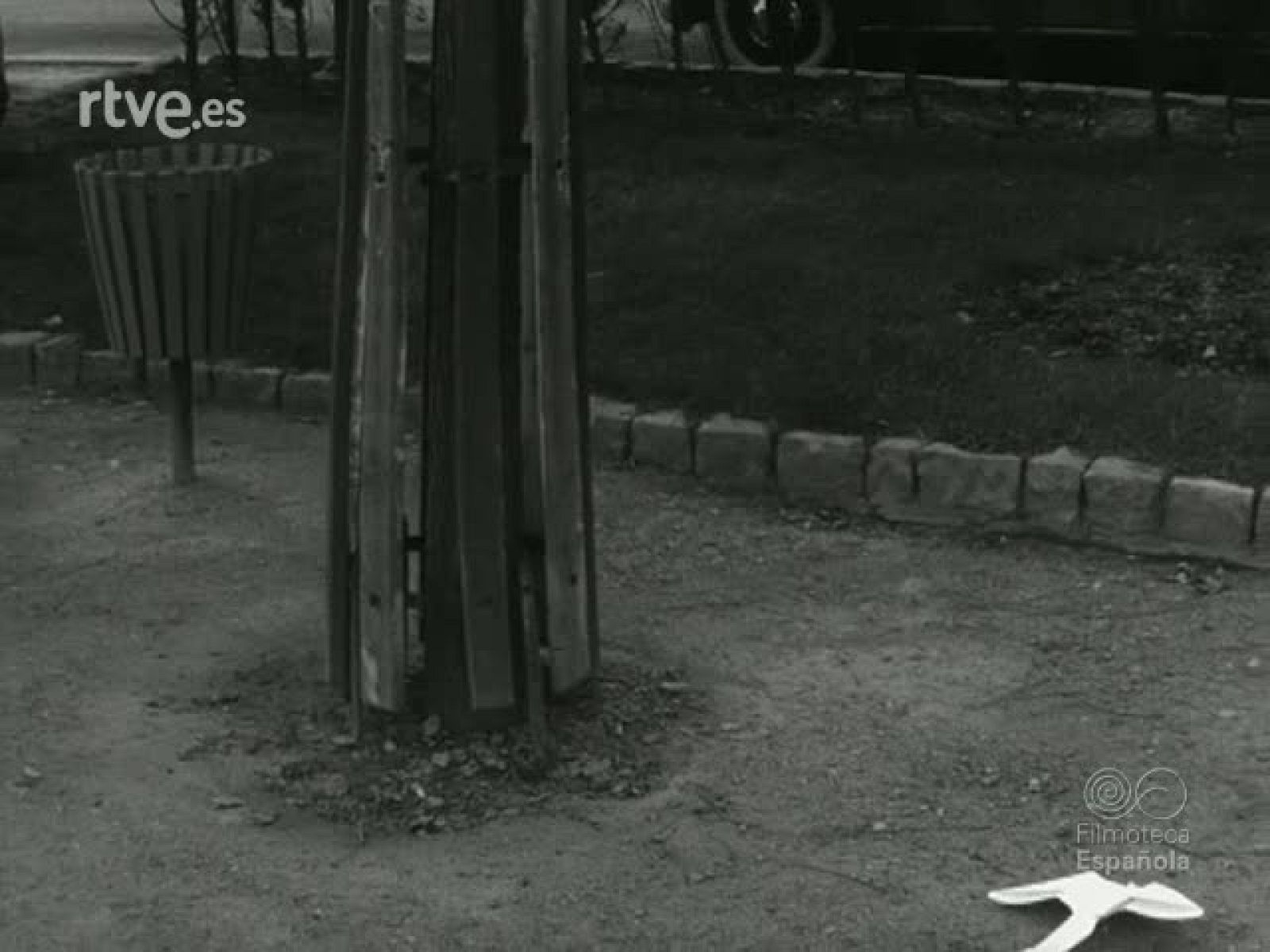 NOT N 1198 B - NO-DO | Ver