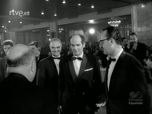 NO-DO - NOT N 1101 B