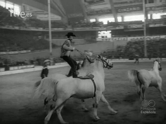 NO-DO - NOT N 1101 A