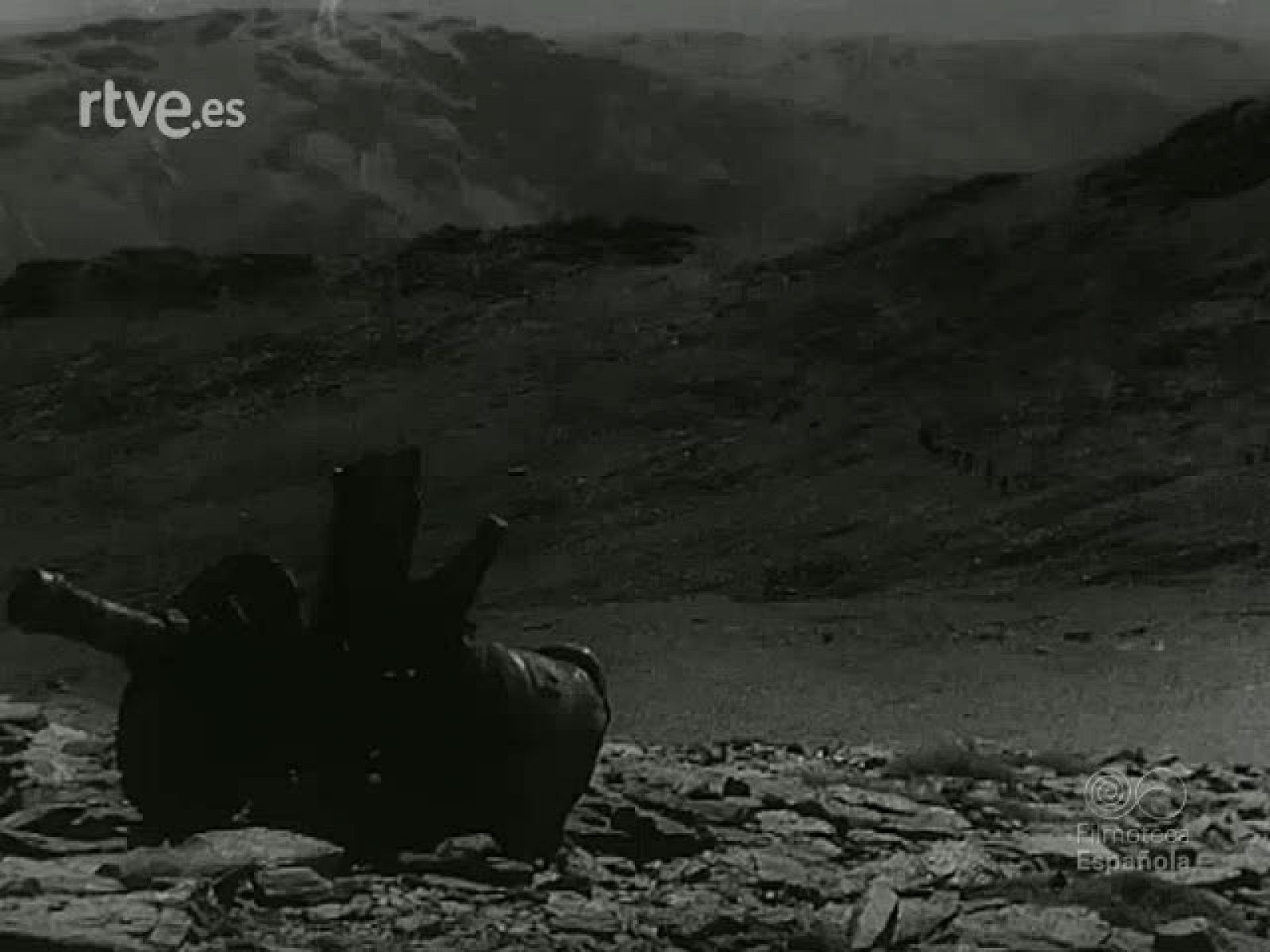 NOT N 1136 C - NO-DO | Ver