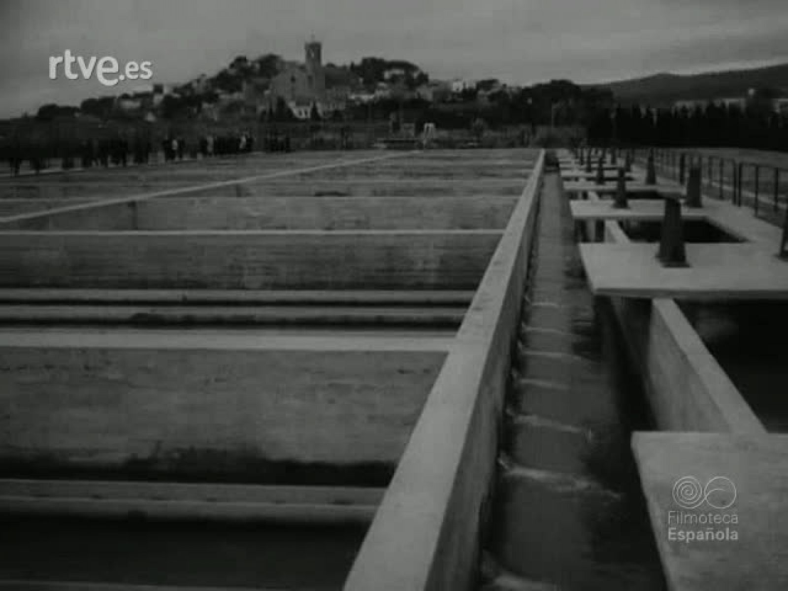 NOT N 1141 C - NO-DO | Ver