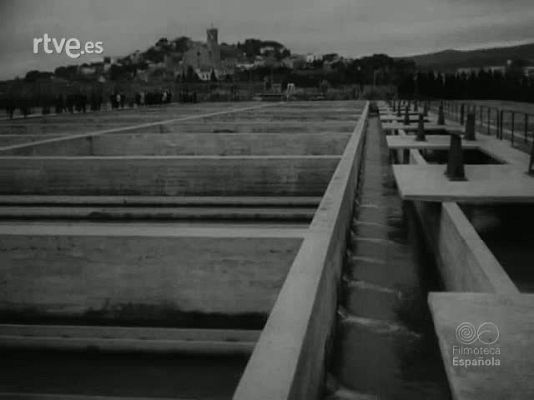 NO-DO - NOT N 1141 C