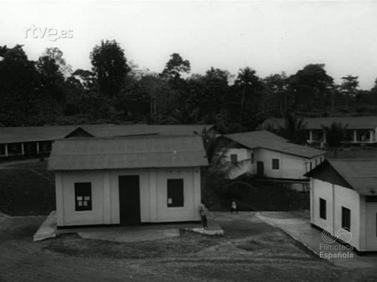 NO-DO - NOT N 1202 B