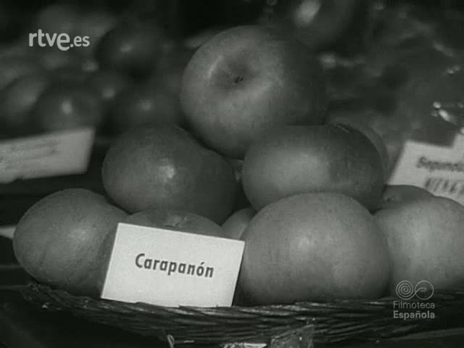 NOT N 1186 C - NO-DO | Ver