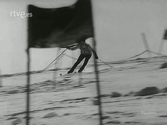 NO-DO - NOT N 1528 A