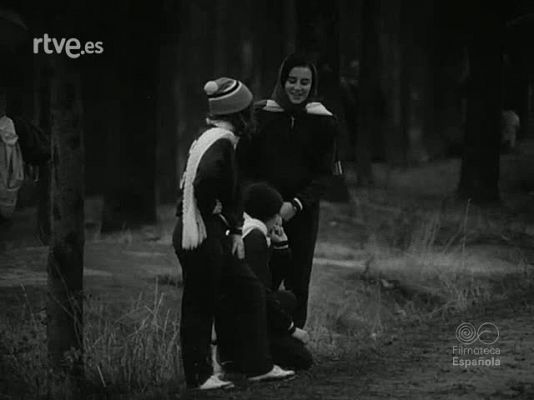 NO-DO - NOT N 1519 A