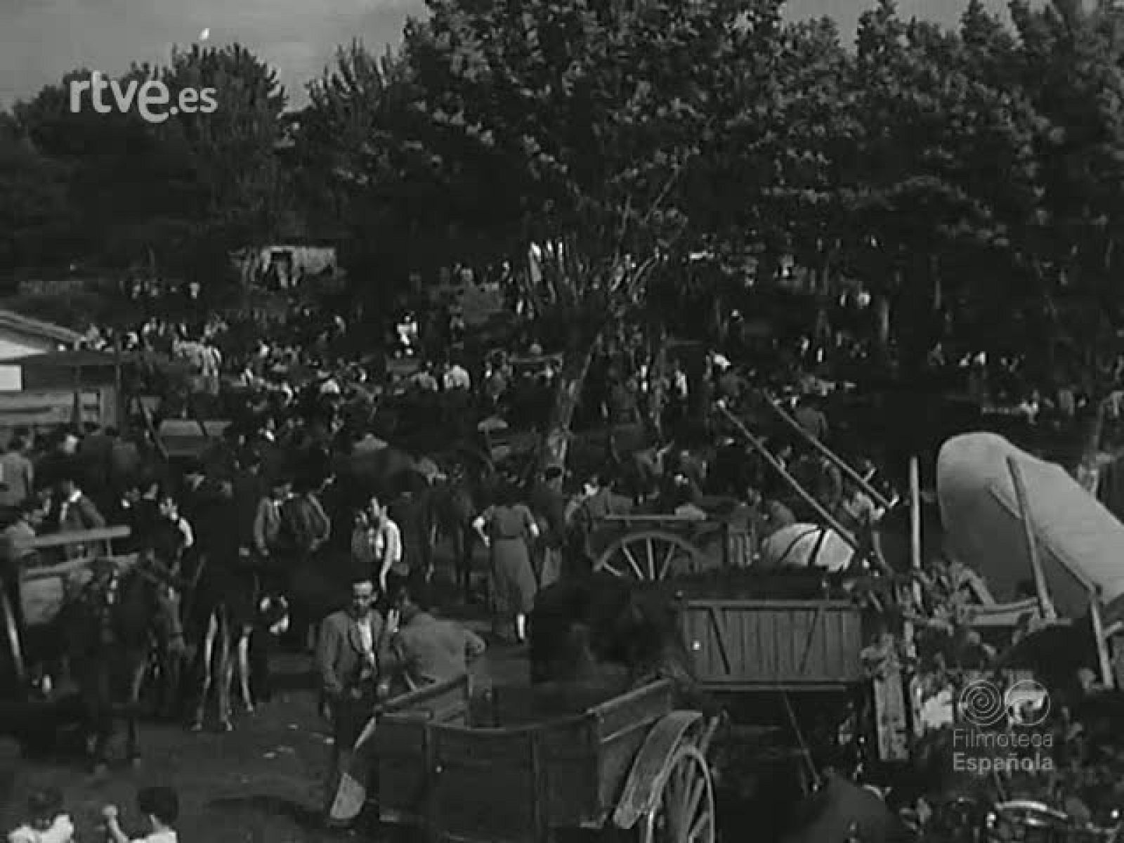 NOT N 460 A - NO-DO | Ver