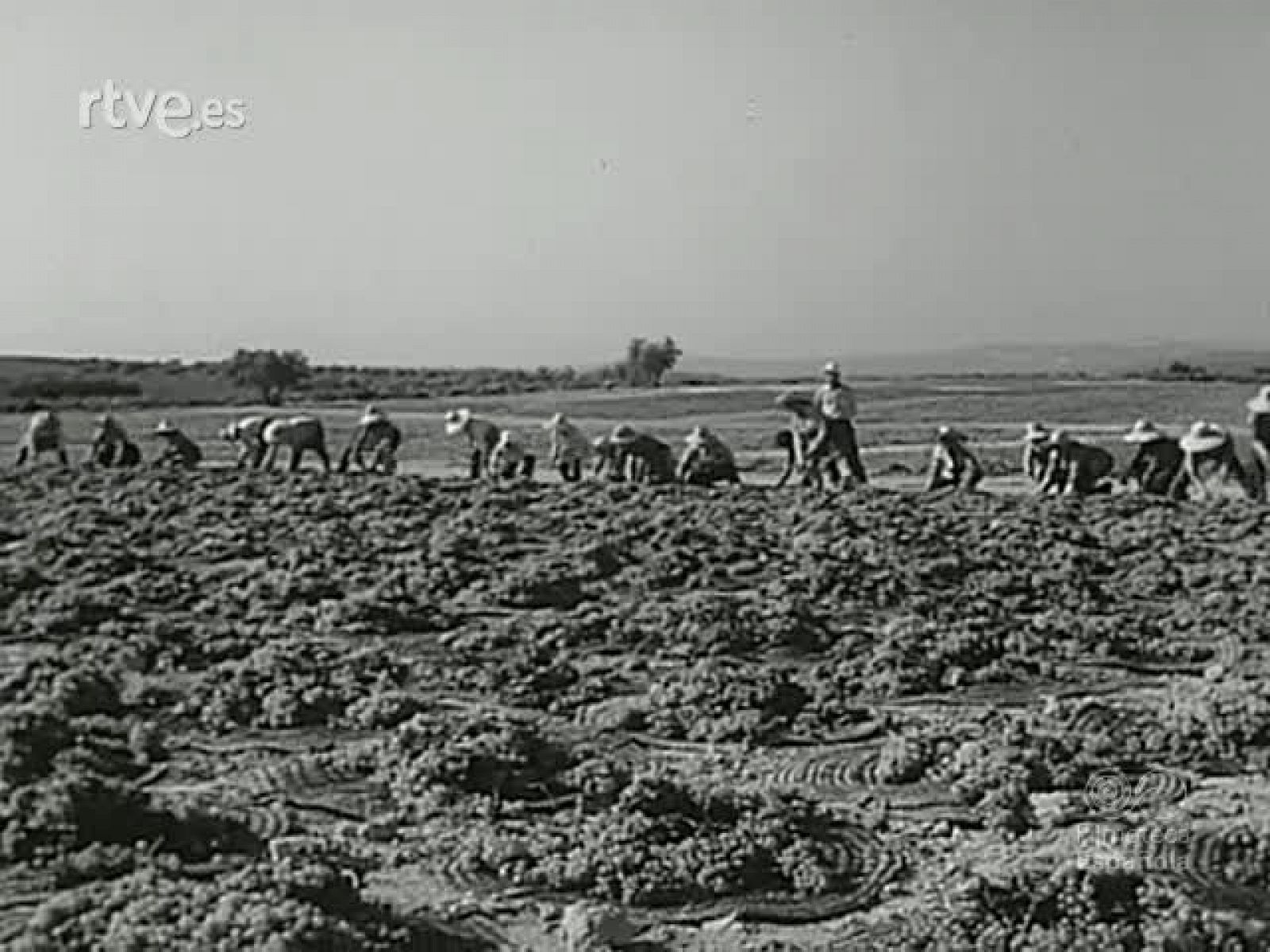 NOT N 1601 B - NO-DO | Ver