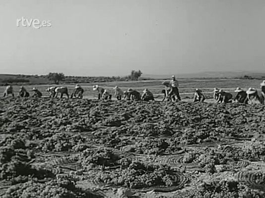 NO-DO - NOT N 1601 B