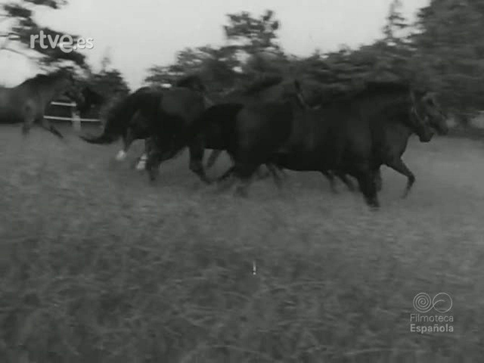 NOT N 506 A - NO-DO | Ver