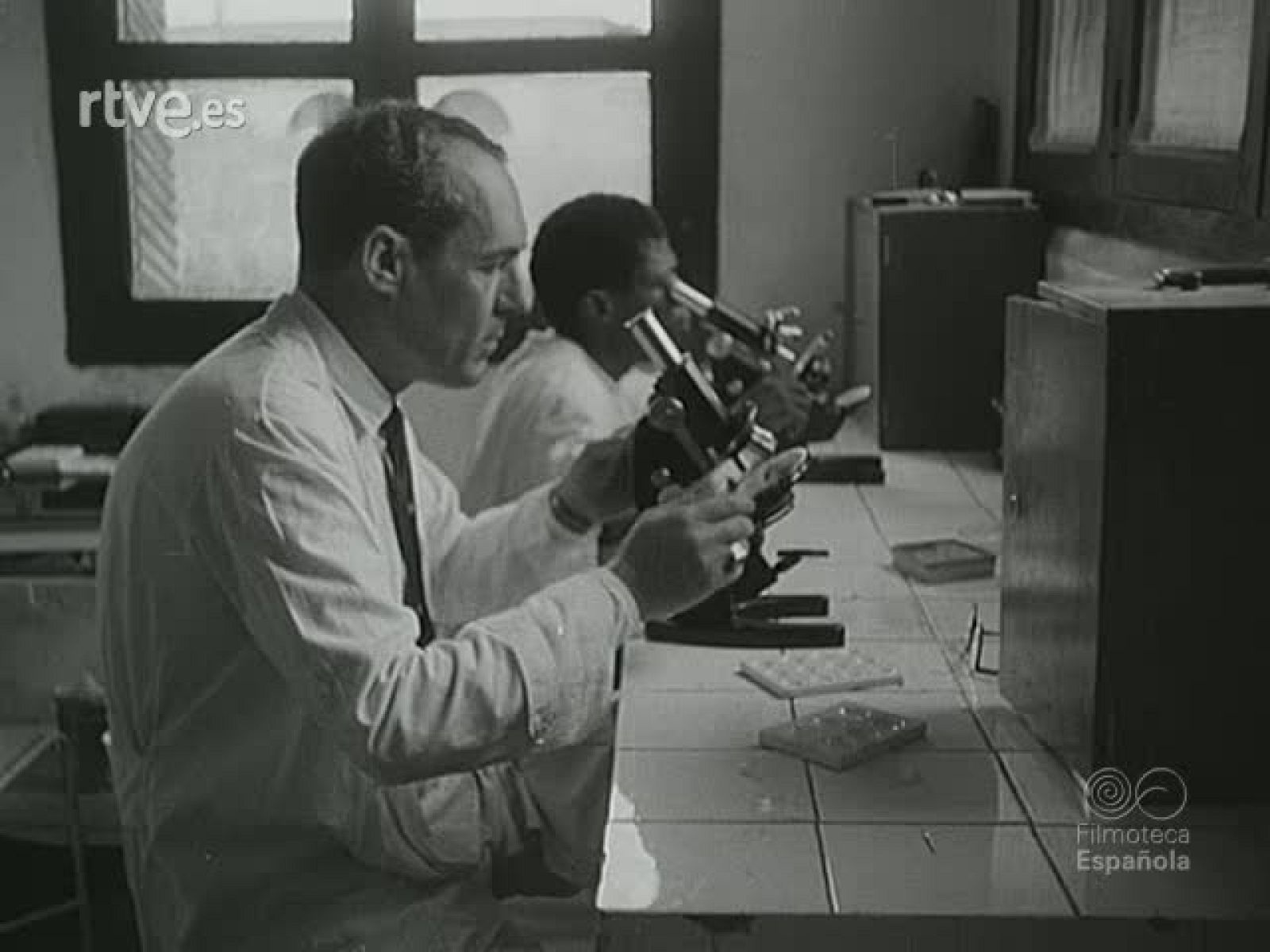 NOT N 479 A - NO-DO | Ver