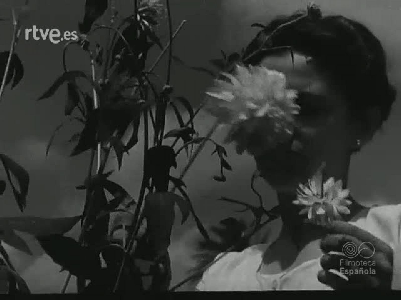 NOT N 501 A - NO-DO | Ver