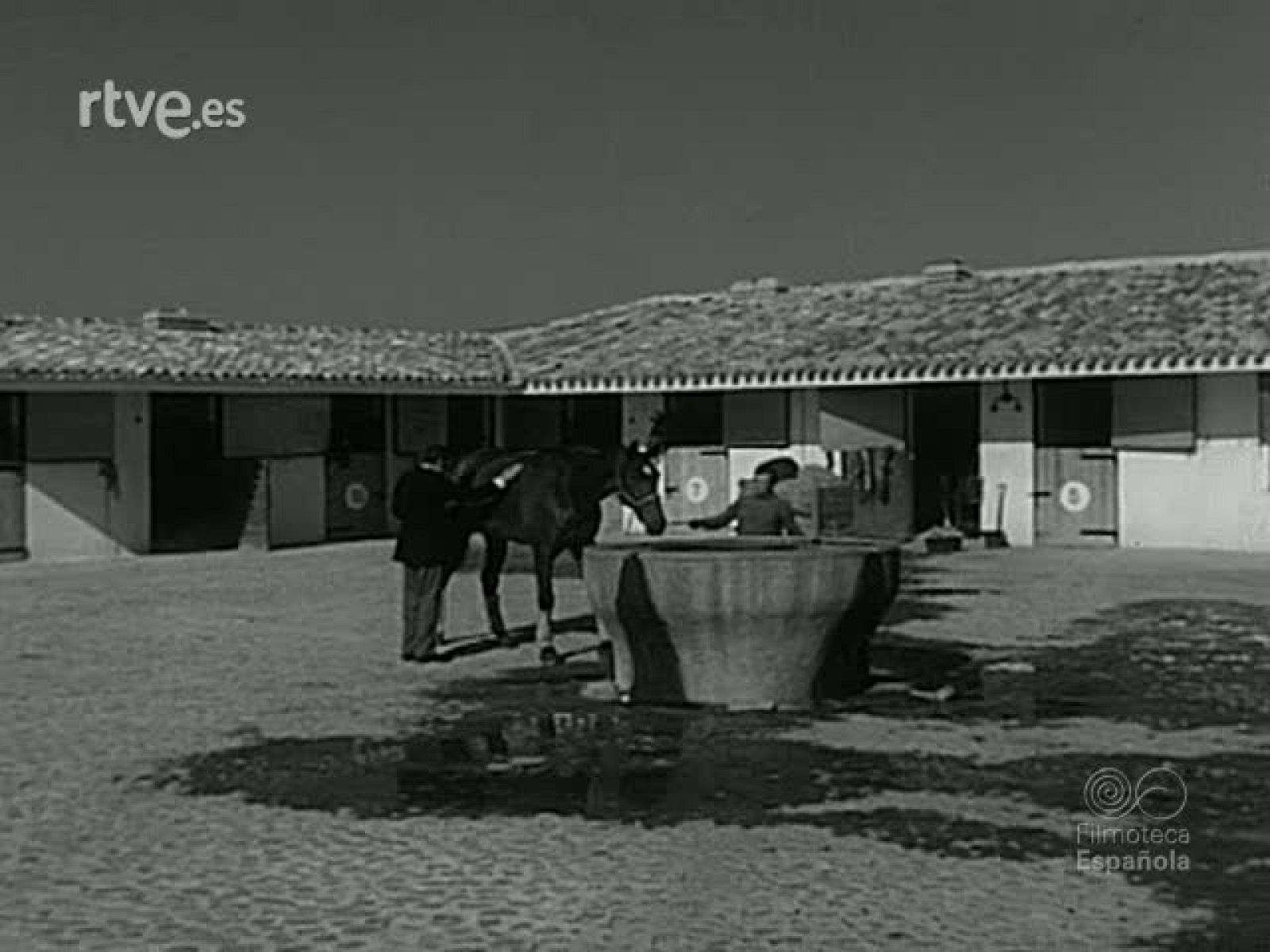 NOT N 1612 A - NO-DO | Ver