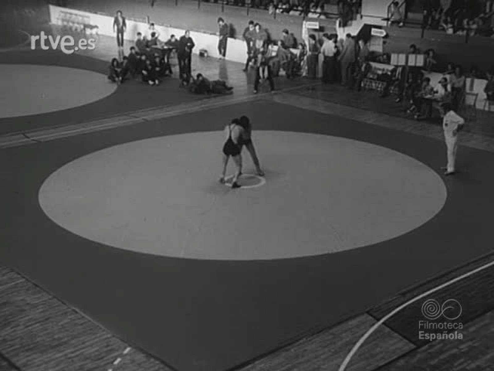 NOT N 1584 B - NO-DO | Ver