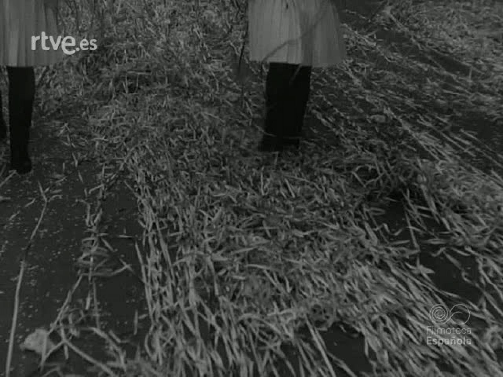 NOT N 1171 A - NO-DO | Ver