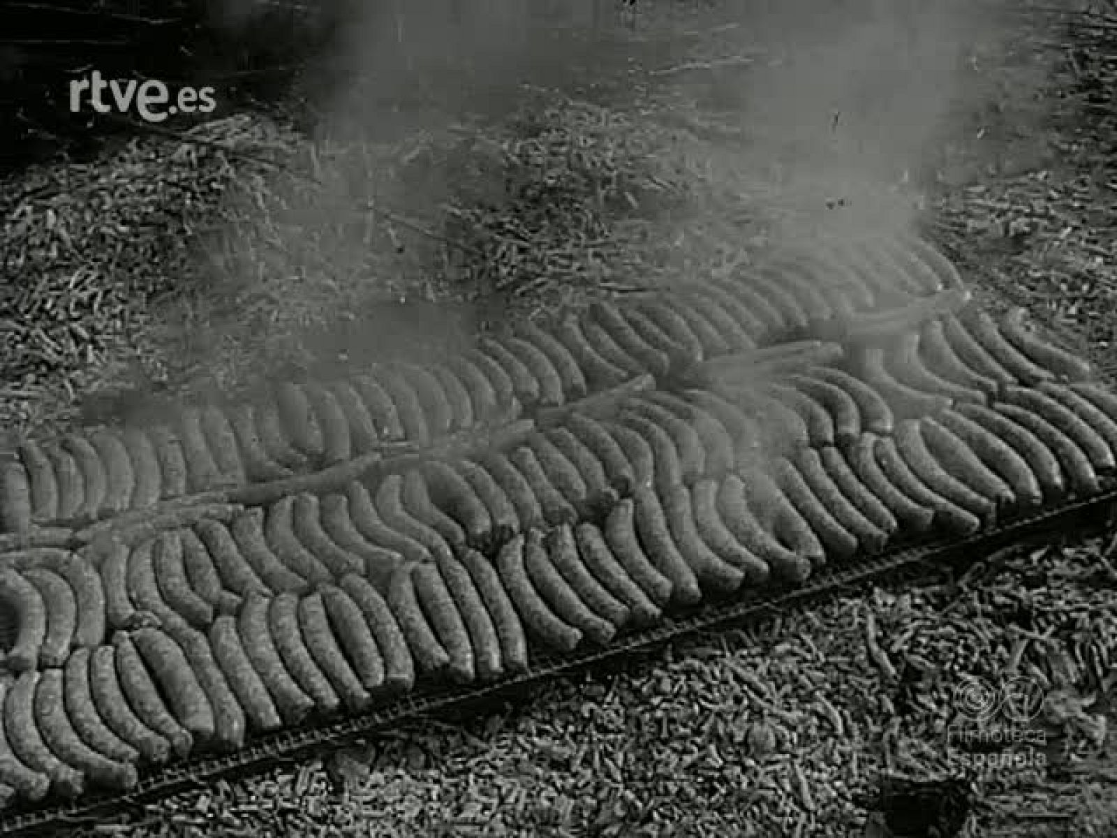 NOT N 1468 A - NO-DO | Ver