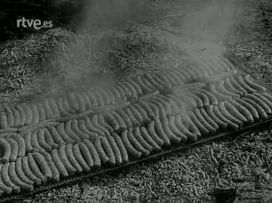 NO-DO - NOT N 1468 A