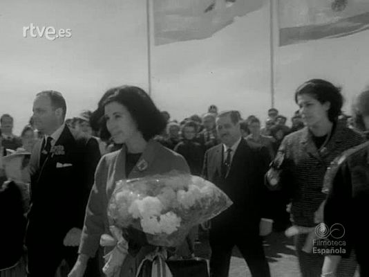 NO-DO - NOT N 1103 B