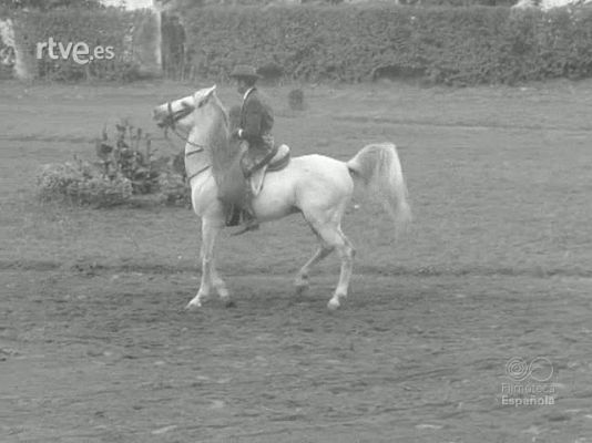 NO-DO - NOT N 1134 C