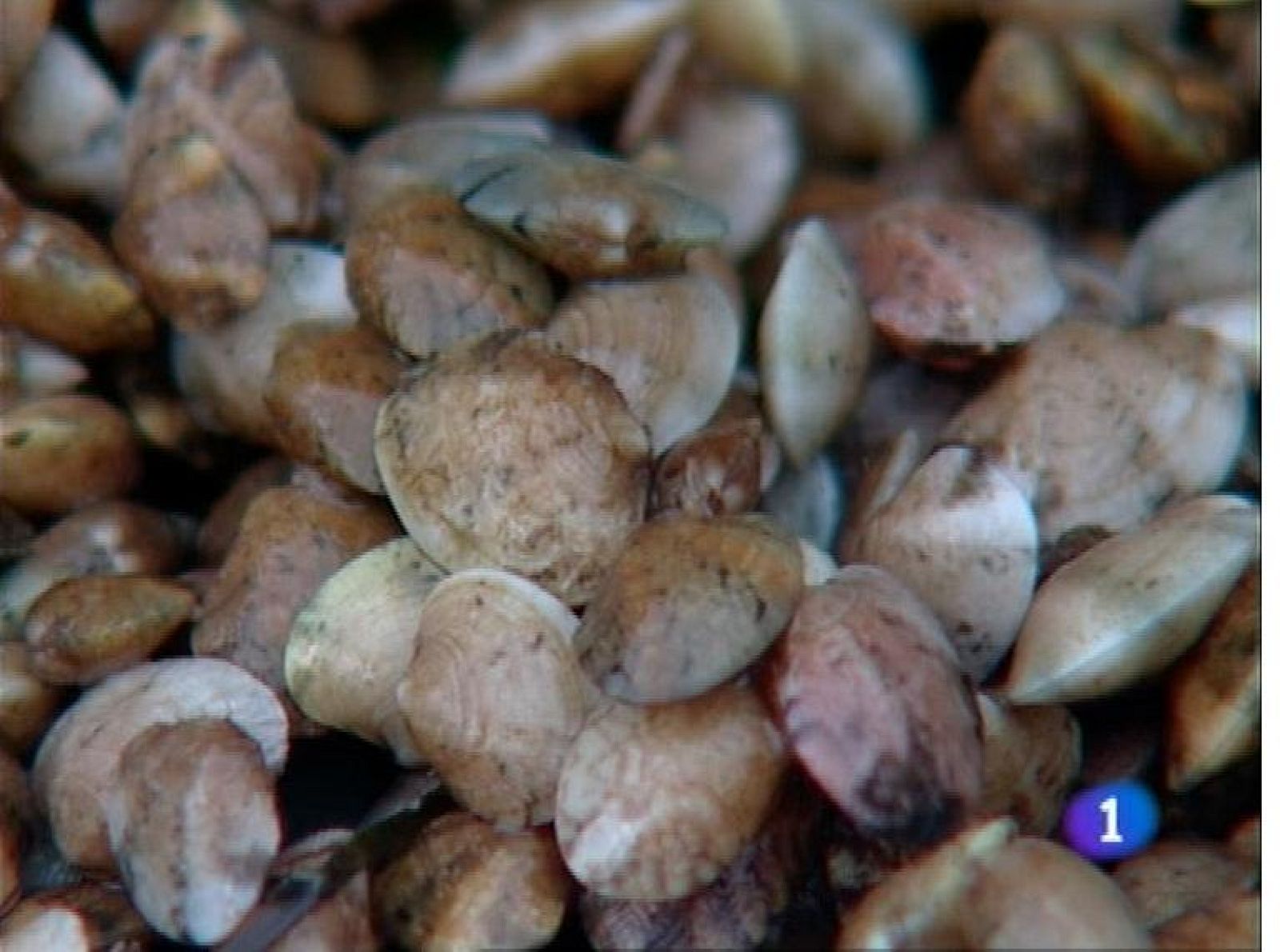 Asturias en 2' - 19/07/12 | Ver