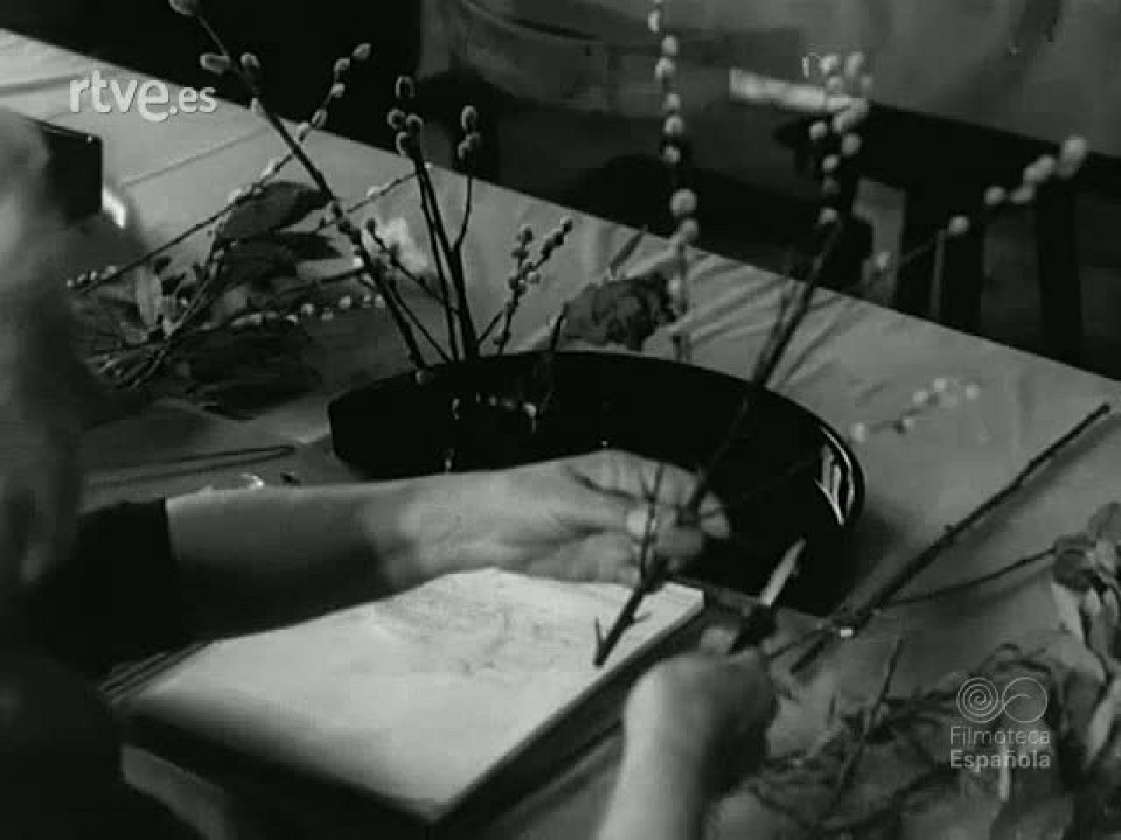 NOT N 1205 C - NO-DO | Ver