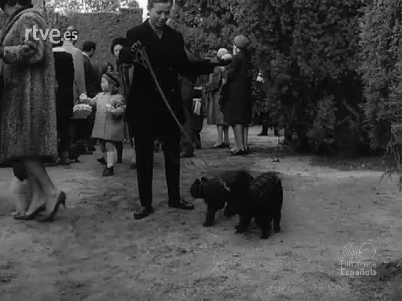 NOT N 1204 A - NO-DO | Ver