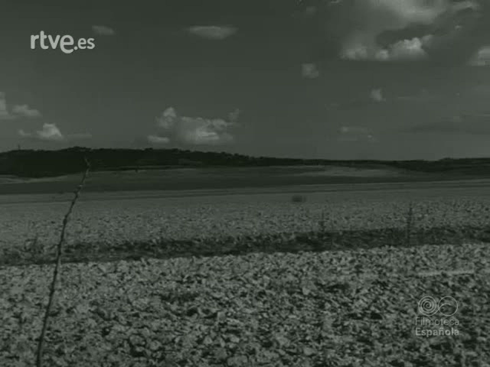 NOT N 912 B - NO-DO | Ver