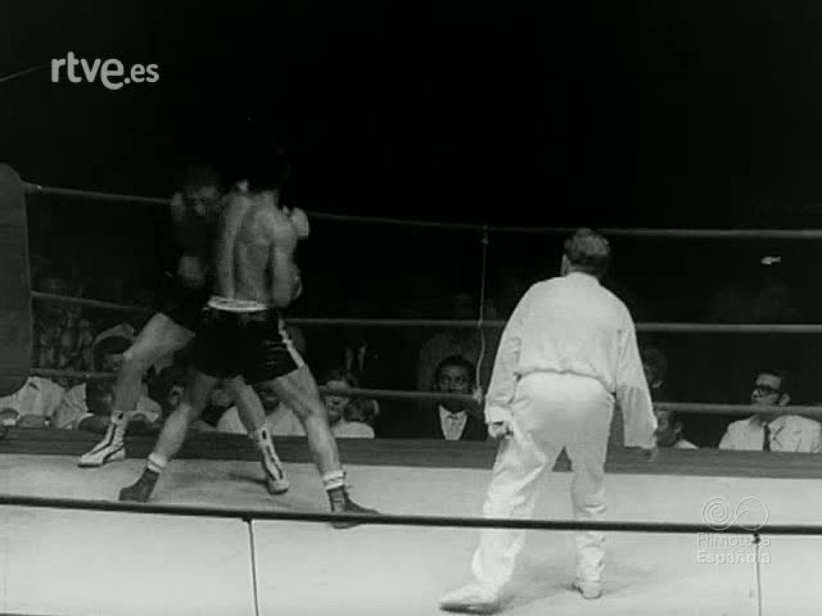 NOT N 1446 A - NO-DO | Ver