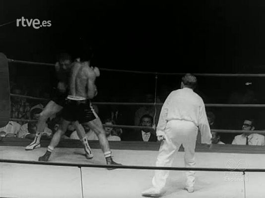 NO-DO - NOT N 1446 A