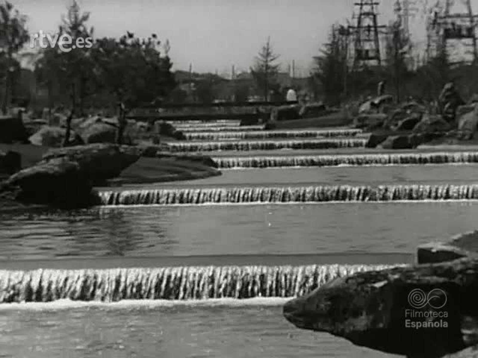 NOT N 1596 B - NO-DO | Ver