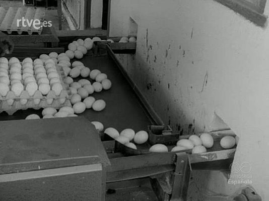 NO-DO - NOT N 1445 A