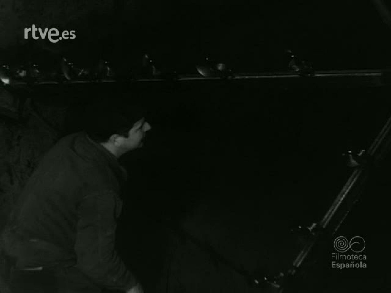 NOT N 989 C - NO-DO | Ver