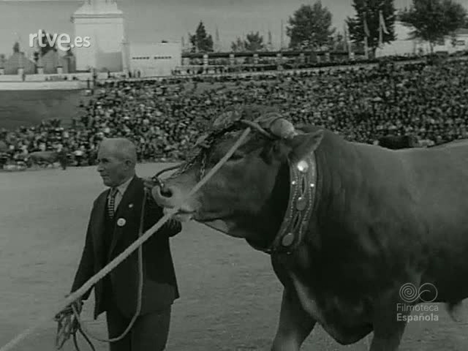 NOT N 1014 C - NO-DO | Ver