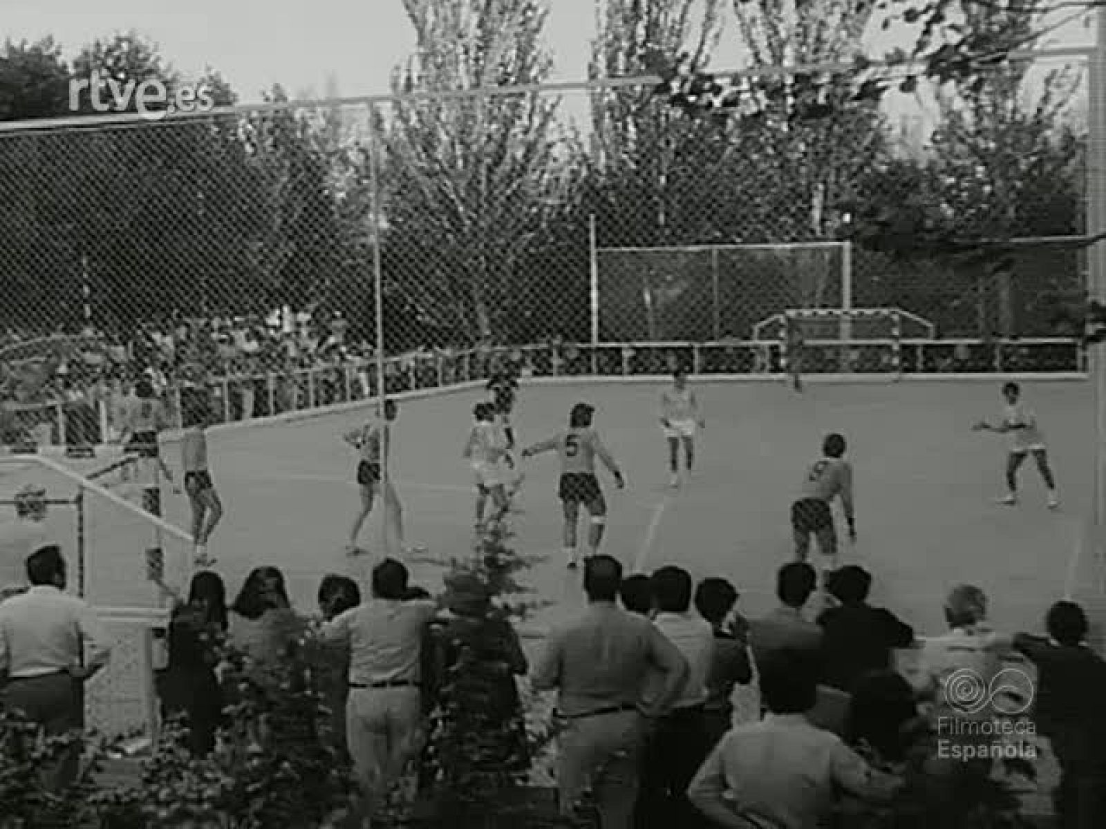 NOT N 1591 A - NO-DO | Ver