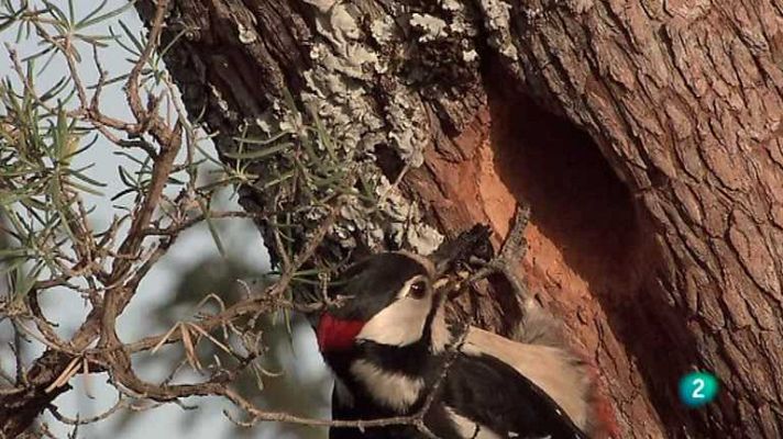 Biodiario - Biodiario - 19/07/12