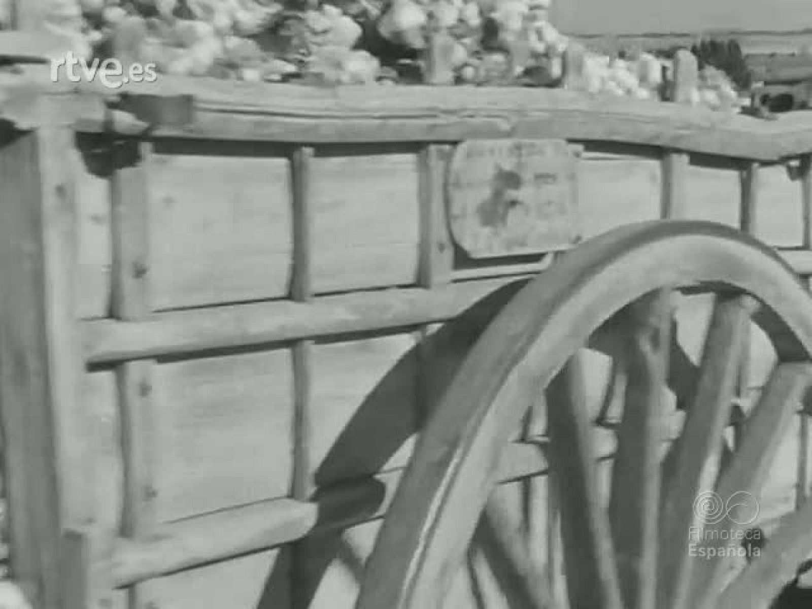 NOT N 448 A - NO-DO | Ver